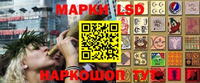 крисы Краснознаменск