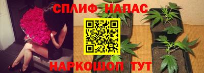 крисы Краснознаменск